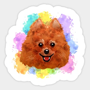 Pomeranian portrait Sticker